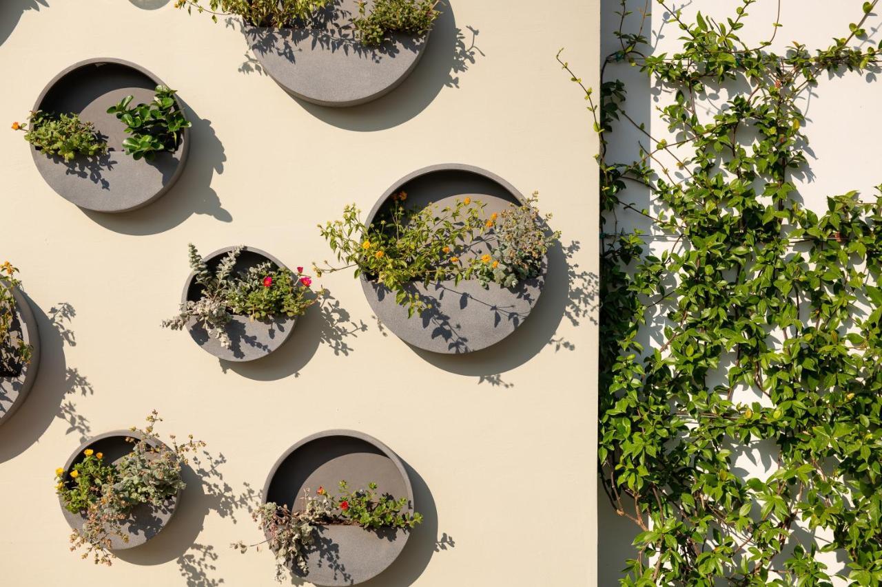 ALKIMA Athens Hotell Eksteriør bilde